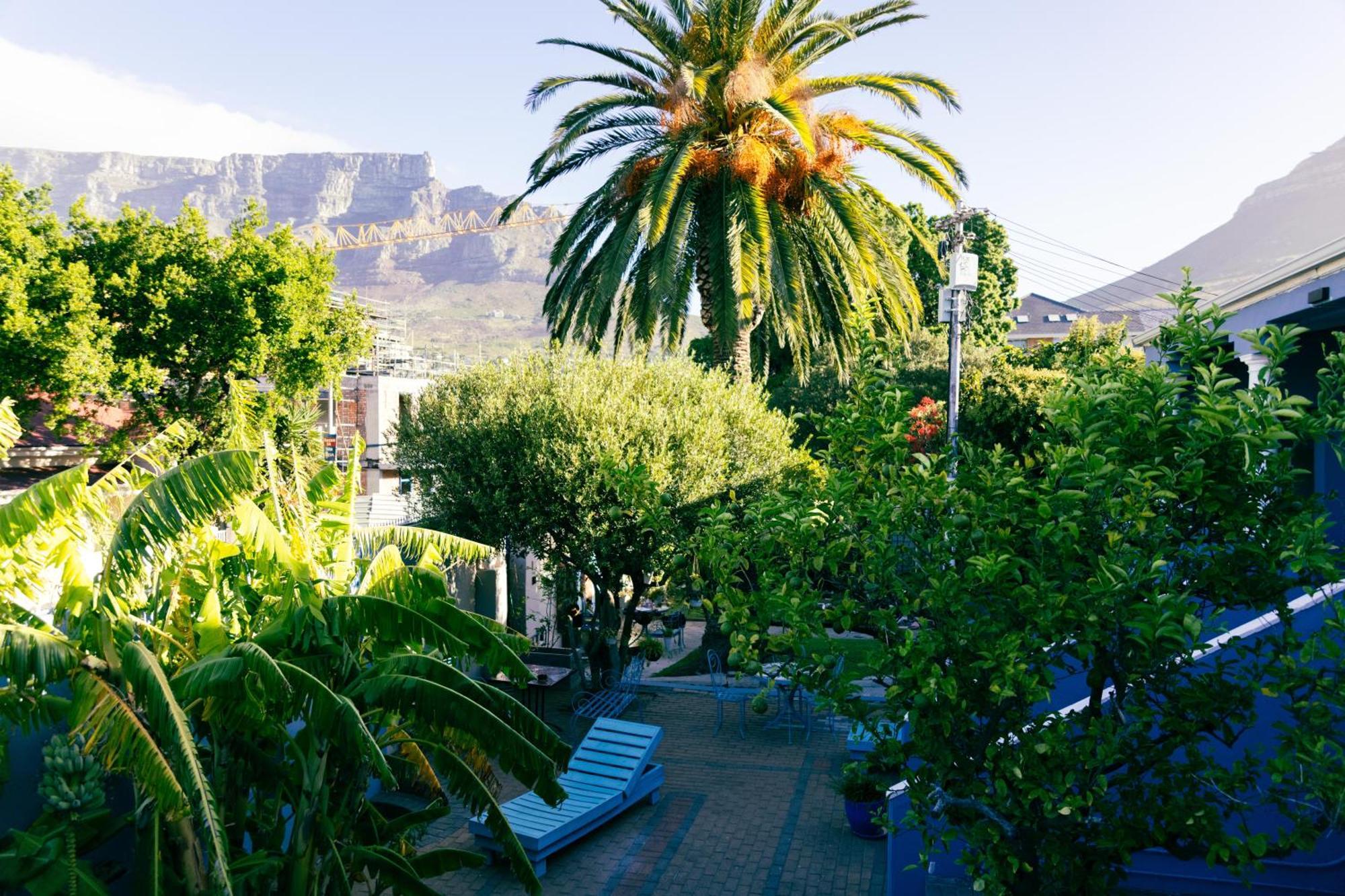 Villa Viva Cape Town Exterior photo